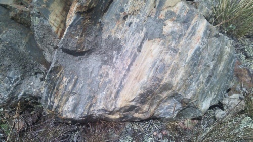 Гигантские зелёные валуны для ландшафтного дизайна весом более 5 тонн купить в Коломне